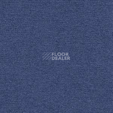Ковролин Radici Nexus Marino 8263 фото 1 | FLOORDEALER